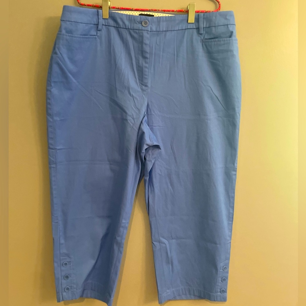 Talbots CURVY Blue Skimmer Capri Peddle Pusher Pants NWT Button Detail - Picture 2 of 14